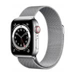 Apple Watch Series 6 Acero Inoxidable 40 mm GPS + Cellular Plata / Milaneses Loop Plata